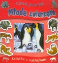 Chcę poznać Młode zwierzęta Książka z naklejkami - Marcela Grez