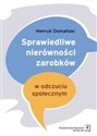 Sprawiedliwe nierówności zarobków w odczuciu społecznym