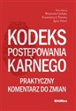 Kodeks postępowania karnego Praktyczny komentarz do zmian