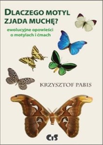 Dlaczego motyl zjada muchę Ewolucyjne opowieści o motylach i ćmach