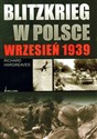 Blitzkrieg w Polsce wrzesień 1939 - Richard Hargreaves