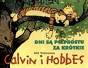 Calvin i Hobbes Dni są po prostu za krótkie 8