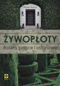 Żywopłoty Rośliny pnące i osłonowe