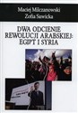 Dwa odcienie rewolucji arabskiej: Egipt i Syria - Maciej Milczanowski, Zofia Sawicka