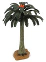 Drzewo Cycad - 