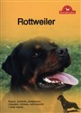 Rottweiler - Opracowanie Zbiorowe