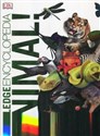 Knowledge Encyclopedia Animal! - John Woodward