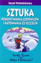 Sztuka pokonywania lodowców i ratowania ze szczelin - Andy Tyson, Mike Clelland