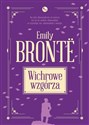 Wichrowe Wzgórza - Emily Brontë