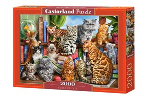 Puzzle 2000 House of Cats