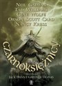 Czarnoksiężnicy Magiczne opowieści mistrzów współczesnej fantasy - Jack Dann, Gardner Dozois