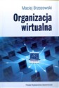 Organizacja wirtualna - Maciej Brzozowski