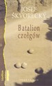 Batalion czołgów