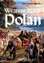 Wczesne dzieje Polan - Jacek Brunon Siwiński