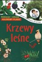 Krzewy leśne Edukacja i zabawa