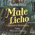 CD MP3 Małe Licho i tajemnica Niebożątka - Marta Kisiel