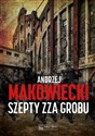 Szepty zza grobu - Andrzej Makowiecki