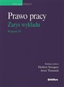 Prawo pracy Zarys wykładu