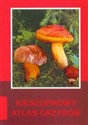 Kieszonkowy atlas grzybów - Josef Sirek