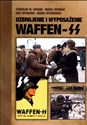Uzbrojenie i wyposażenie Waffen-SS - Stanisław M. Łukasik, Igor Witkowski, Maciej Wyszkowski