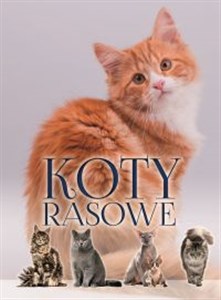 Koty rasowe - Księgarnia UK