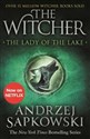 The Lady of the Lake: Witcher 5