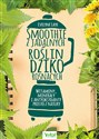 Smoothie z jadalnych roślin dziko rosnących