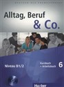 Alltag Beruf & Co. 6 Kursbuch + Arbeitsbuch + CD