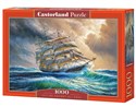 Puzzle Sailing Against All Odds 1000 C-104529 - 