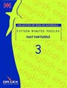 Fifteen minutes puzzles. Past Participle - Magdalena Chowaniec