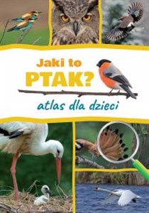 Jaki to ptak? Atlas dla dzieci - Księgarnia UK