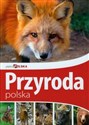 Piękna Polska Przyroda polska