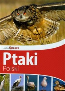 Piękna Polska Ptaki Polski