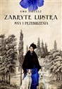 Zakryte lustra Sny i przebudzenia Tom 1 - Ewa Cielesz