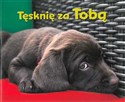 Tęsknię za tobą perełki