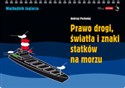 Prawo drogi światła i znaki statków na morzu