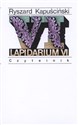 Lapidarium VI