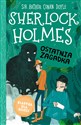 Klasyka dla dzieci Tom 20 Sherlock Holmes Ostatnia zagadka - Arthur Conan Doyle