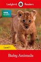 BBC Earth: Baby Animals Ladybird Readers Level 1