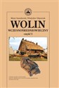 Wolin wczesnośredniowieczny Tom 1 - Błażej Stanisławski, Władysław Filipowiak