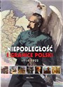 Niepodległość i granice Polski 1914-1922 - Piotr Rozwadowski, Aneta Ignatowicz