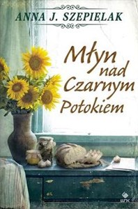 Młyn nad Czarnym Potokiem