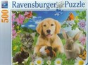 Puzzle 500 Domowe zwierzaki 