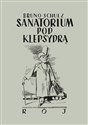 Sanatorium pod klepsydrą - Bruno Schulz