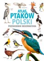 Atlas ptaków Polski  - Magdalena Janiszewska, Radosław Włodarczyk