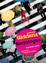 Socjologia - Anthony Giddens, Philip W. Sutton