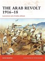 The Arab Revolt 1916-18: Lawrence Sets Arabia Ablaze - David Murphy