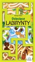 Dziecięce labirynty