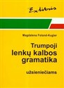 Zwięzła gramatyka polska dla cudzoziemców - Magdalena Foland-Kugler