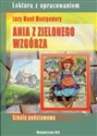 Ania z Zielonego Wzgórza Lektura z opracowaniem